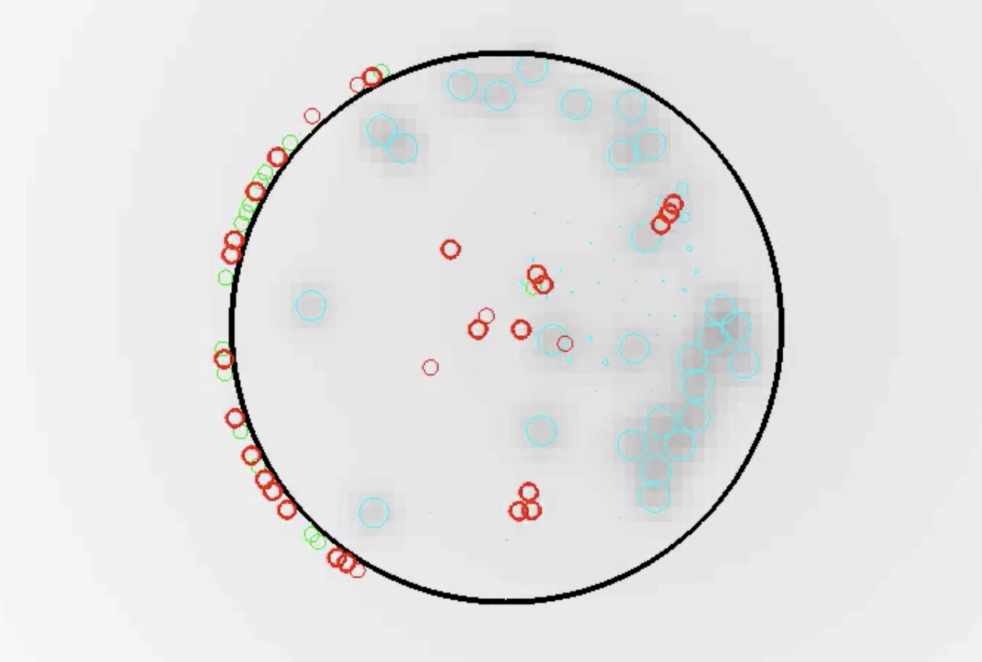 Beta cells after attack